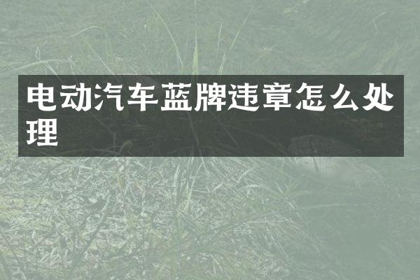 电动汽车蓝牌违章怎么处理