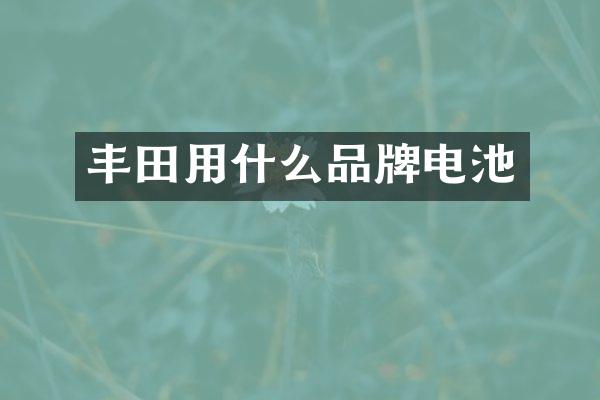 丰田用什么品牌电池