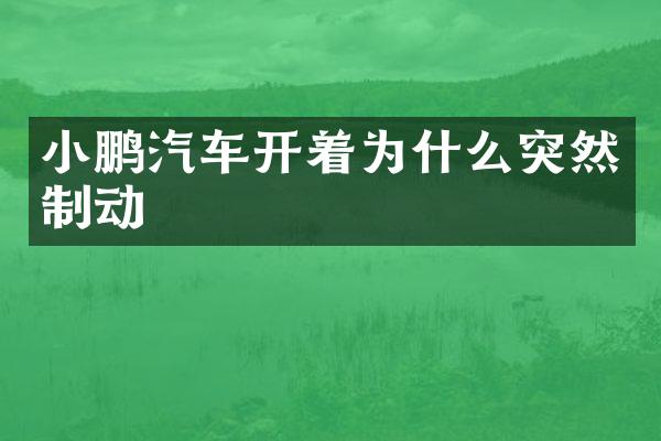 小鹏汽车开着为什么突然制动
