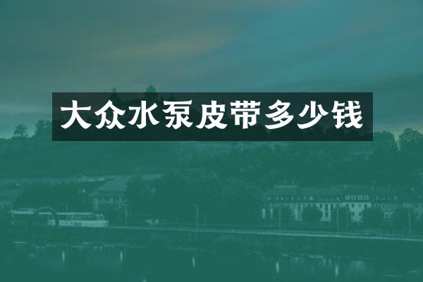 大众水泵皮带多少钱