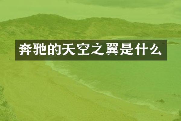 奔驰的天空之翼是什么