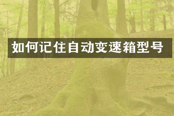 如何记住自动变速箱型号