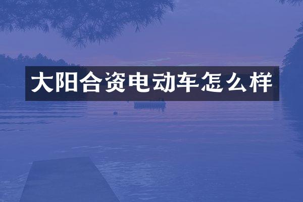 大阳合资电动车怎么样