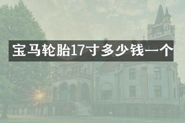 宝马轮胎17寸多少钱一个
