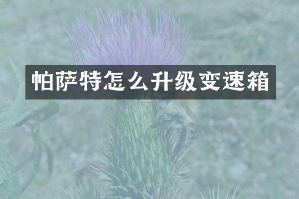 帕萨特怎么升级变速箱