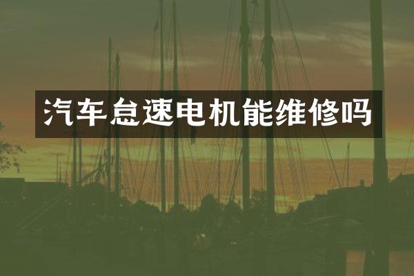 汽车怠速电机能维修吗