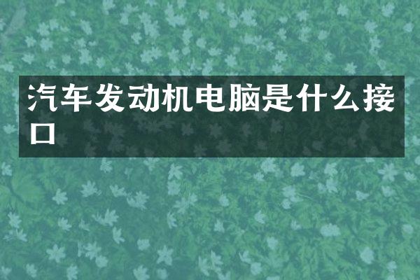 汽车发动机电脑是什么接口