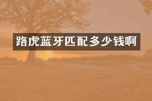 路虎蓝牙匹配多少钱啊
