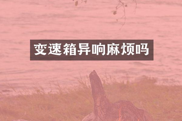 变速箱异响麻烦吗