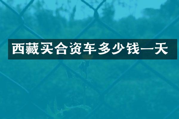 西藏买合资车多少钱一天