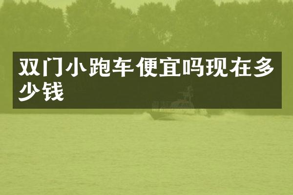 双门小跑车便宜吗现在多少钱