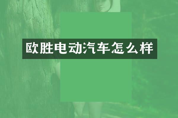 欧胜电动汽车怎么样