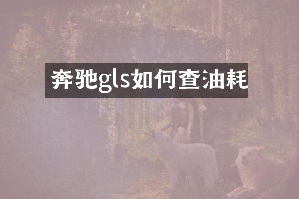 奔驰gls如何查油耗