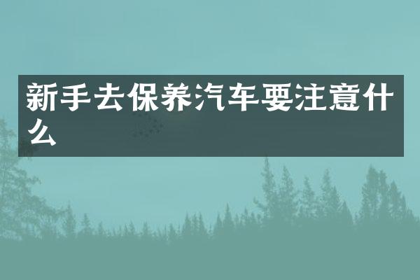 新手去保养汽车要注意什么