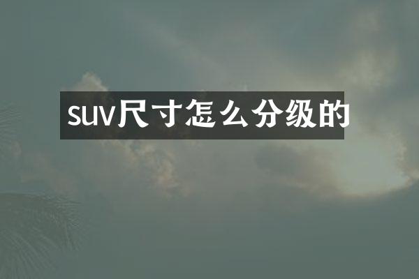 suv尺寸怎么分级的
