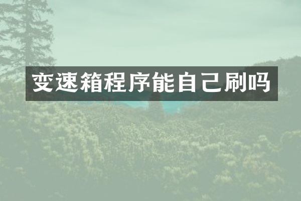 变速箱程序能自己刷吗