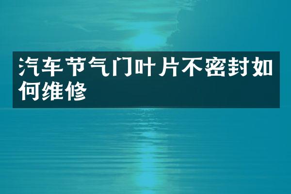 汽车节气门叶片不密封如修