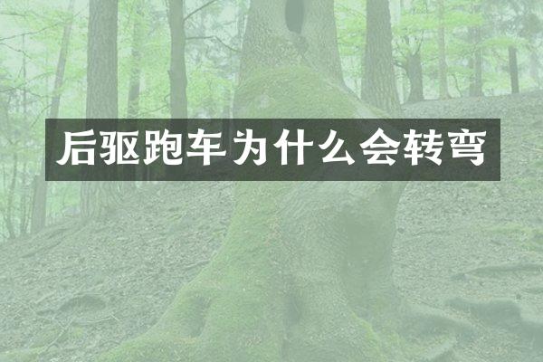 后驱跑车为什么会转弯