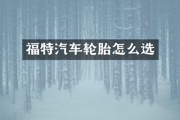 福特汽车轮胎怎么选