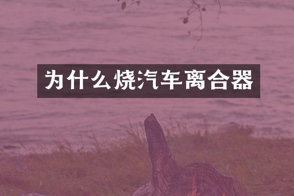 为什么烧汽车离合器