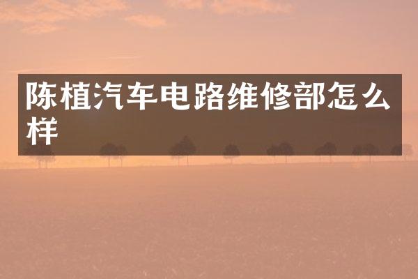 陈植汽车电路维修部怎么样