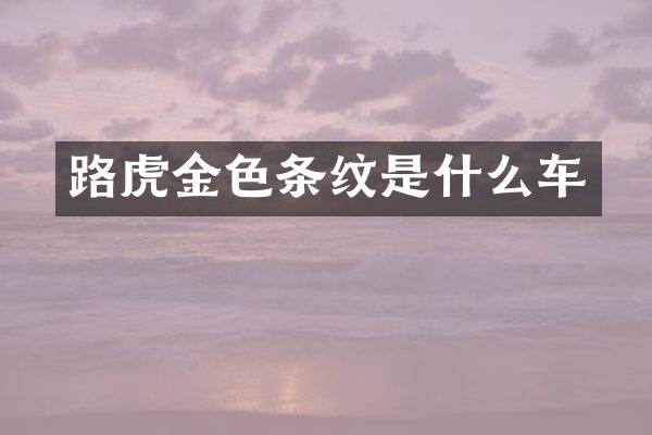 路虎金色条纹是什么车