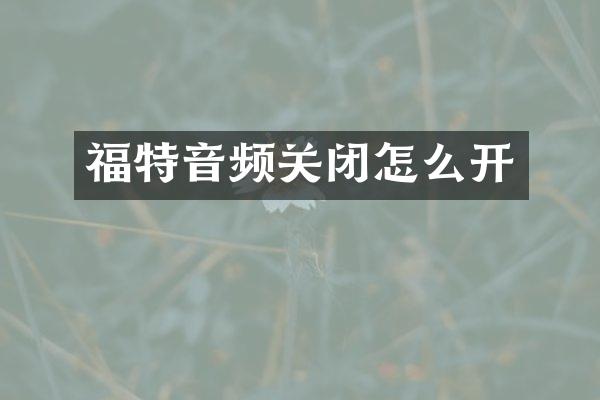 福特音频关闭怎么开