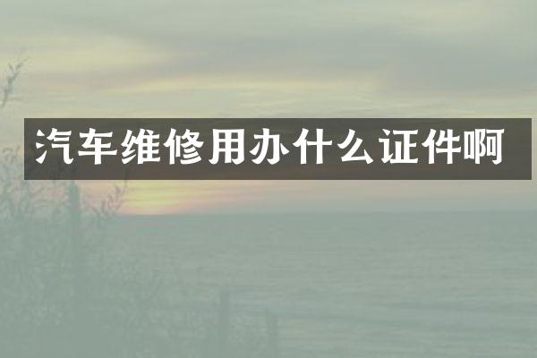 汽车维修用办什么证件啊