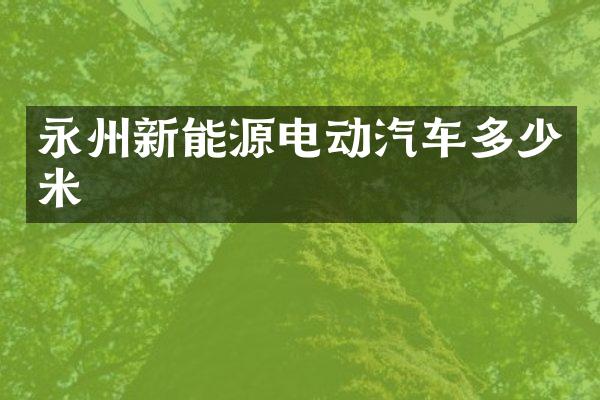 永州新能源电动汽车多少米