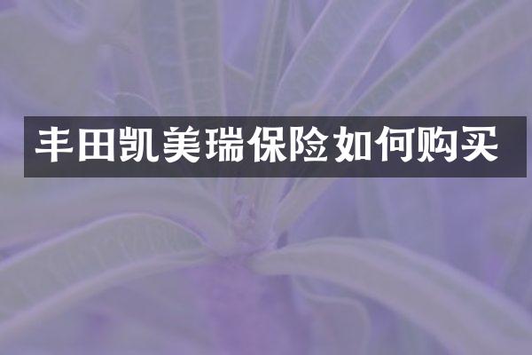 丰田凯美瑞保险如何购买