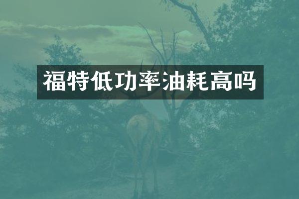 福特低功率油耗高吗