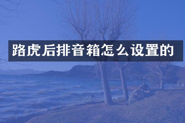 路虎后排音箱怎么设置的