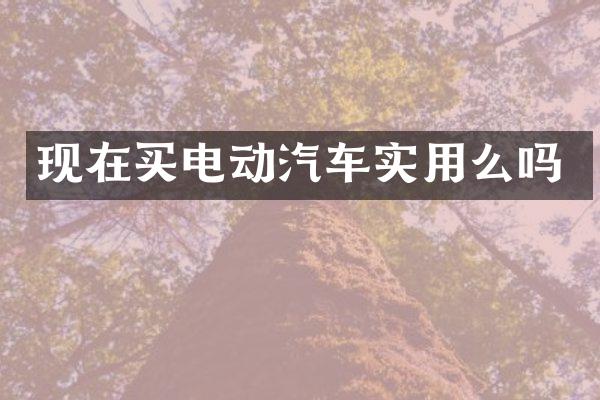 现在买电动汽车实用么吗