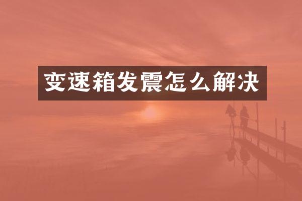 变速箱发震怎么解决