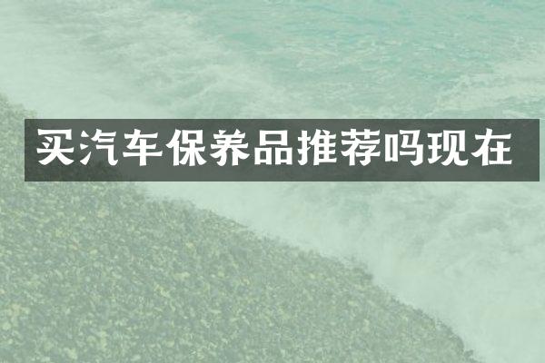 买汽车保养品推荐吗现在