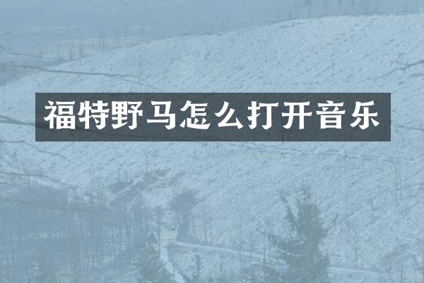 福特野马怎么打开音乐