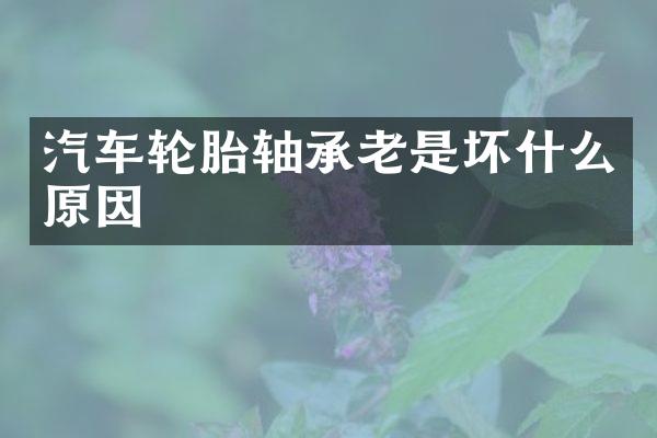 汽车轮胎轴承老是坏什么原因