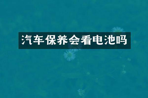 汽车保养会看电池吗