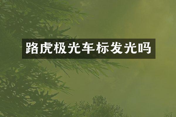 路虎极光车标发光吗