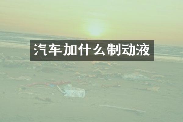 汽车加什么制动液