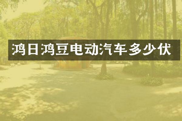 鸿日鸿豆电动汽车多少伏