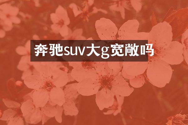奔驰suv大g宽敞吗