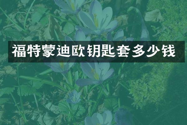 福特蒙迪欧钥匙套多少钱