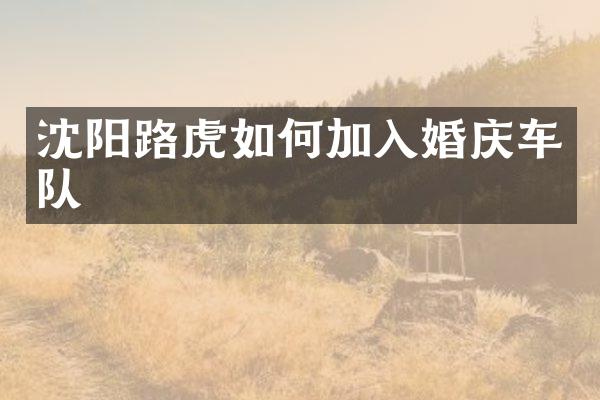 沈阳路虎如何加入婚庆车队