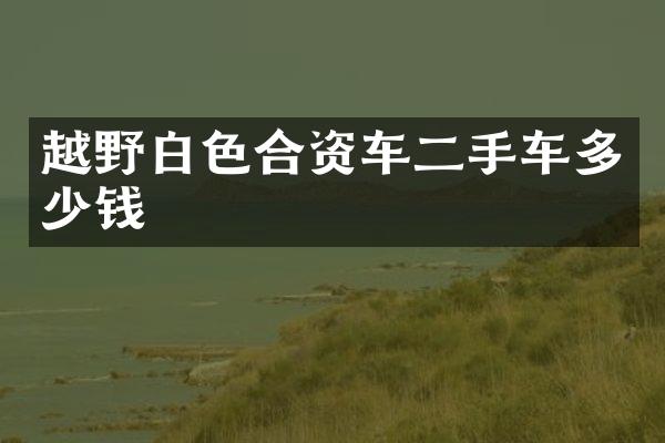 越野白色合资车二手车多少钱