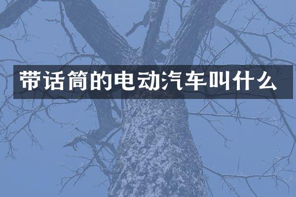 带话筒的电动汽车叫什么
