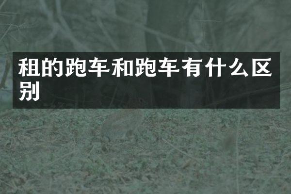 租的跑车和跑车有什么区别
