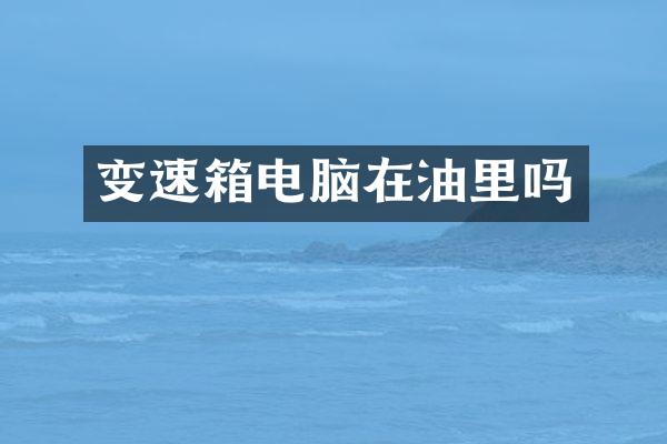 变速箱电脑在油里吗