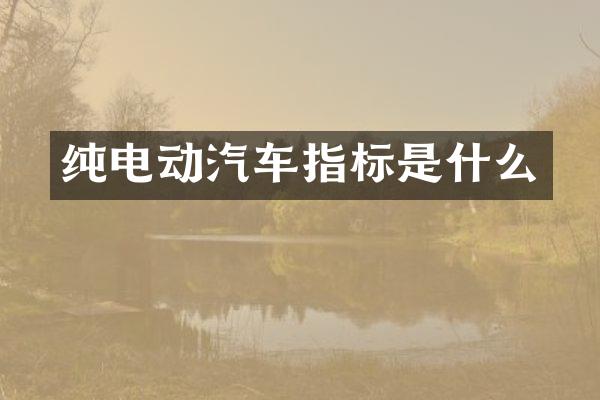 纯电动汽车指标是什么