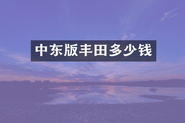 中东版丰田多少钱